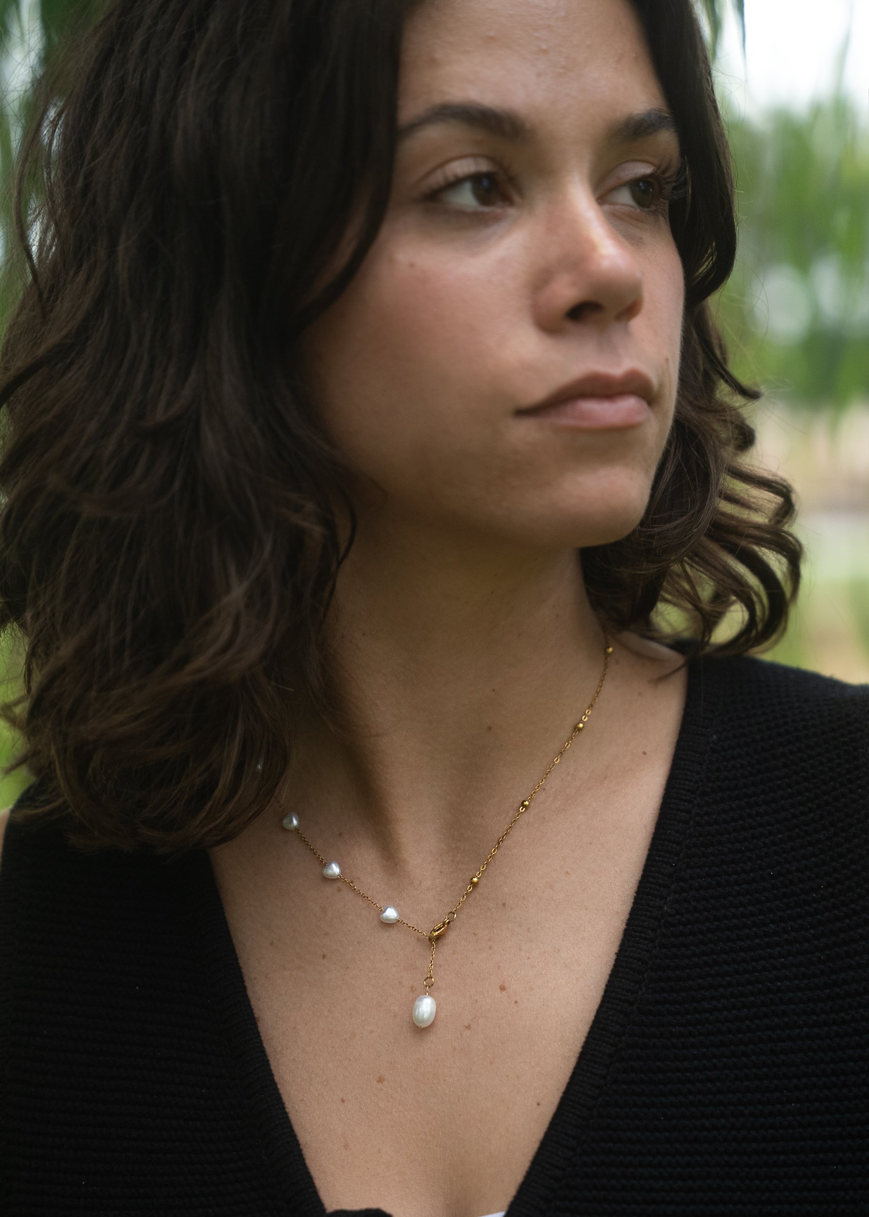 A rose and it's thorns