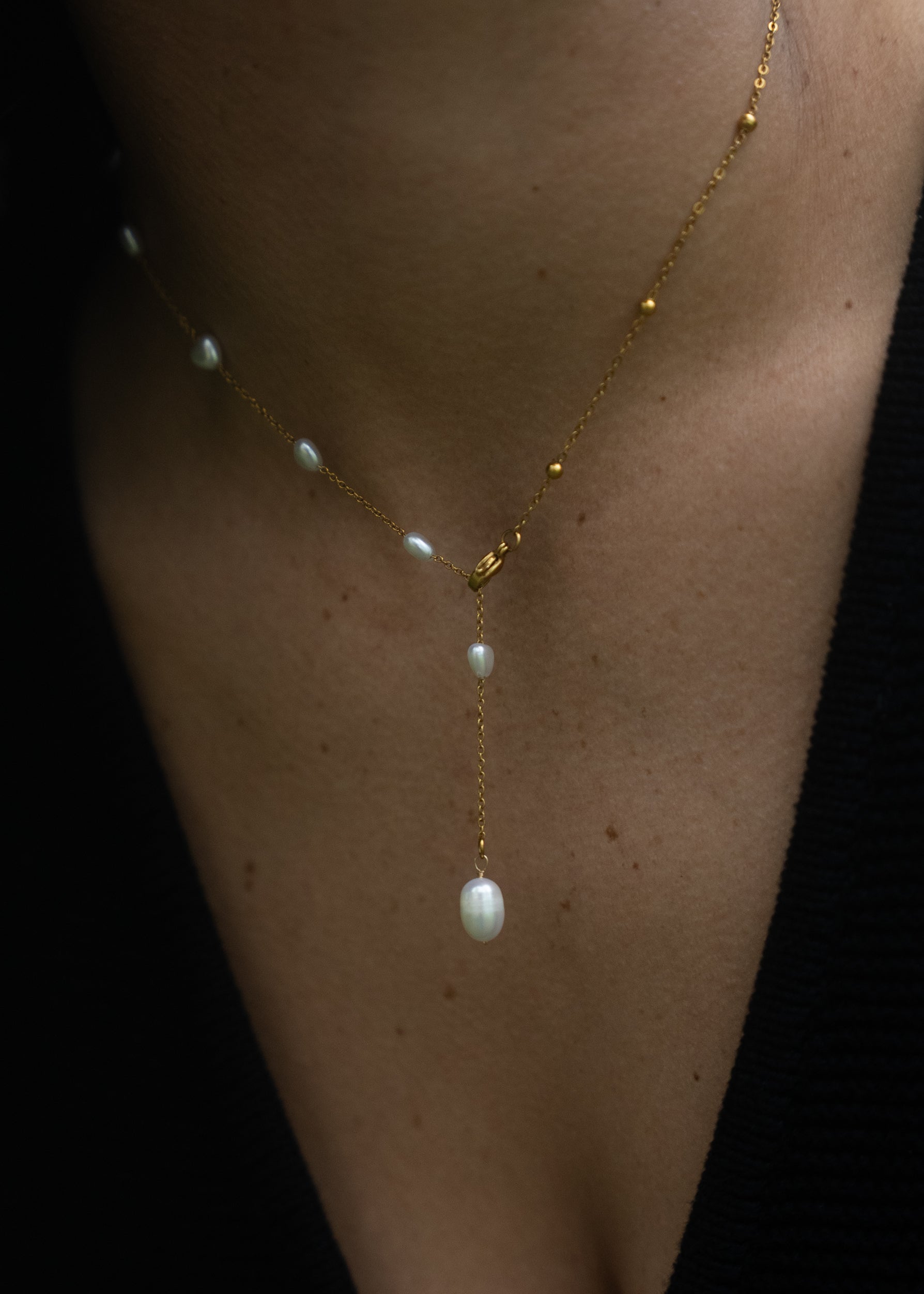 A rose and it's thorns