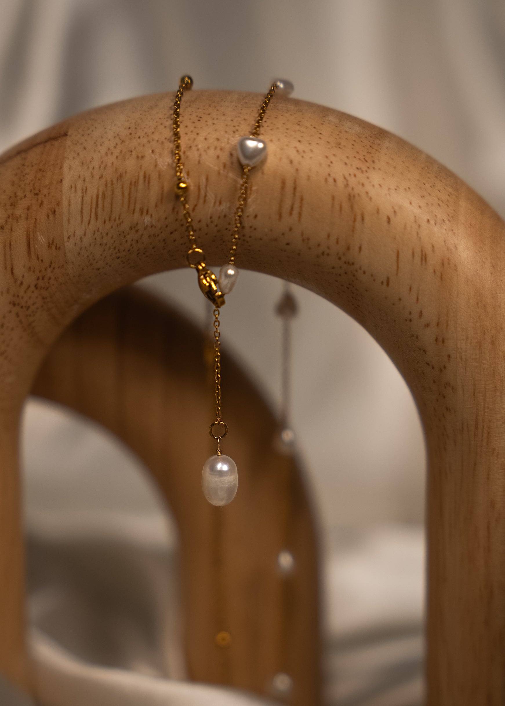 A rose and it's thorns