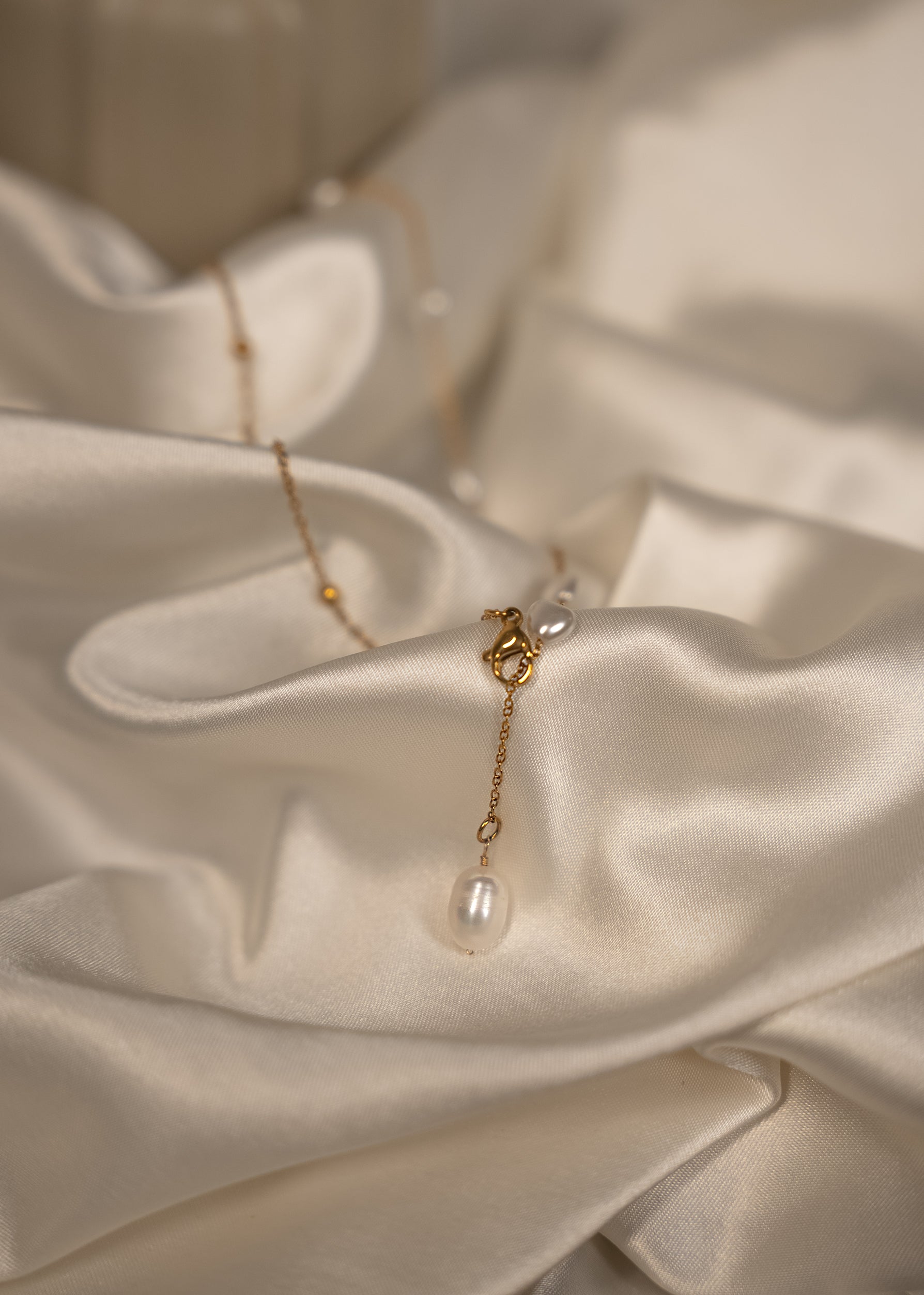 A rose and it's thorns